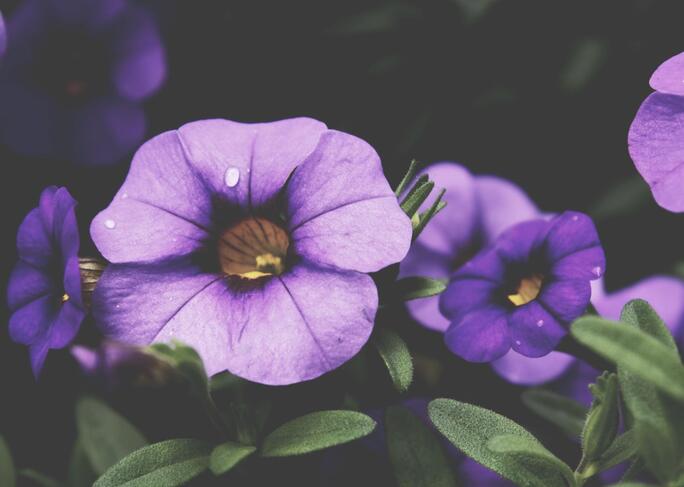 unsplash-525b54bcc32ba-1